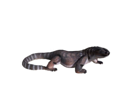 Lizard Decorative Statue Garden Figures Statues 100cm Life Size Figure Plastic