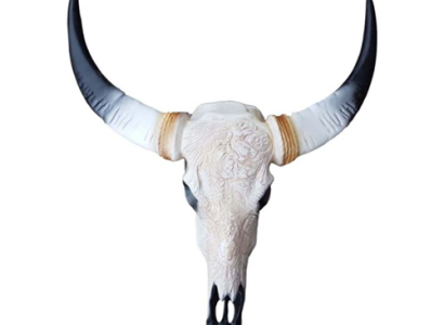 Bull Cattle Skull Decoration Not Real 69cm Wall Design Decoration Wall Skull