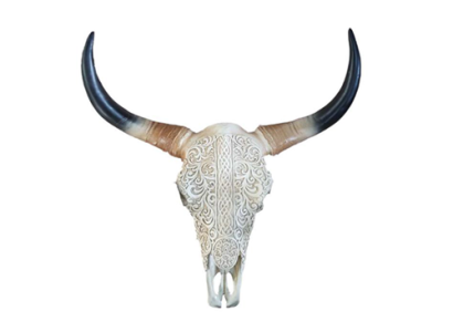 Bull Cattle Skull Decoration Not Real 65cm Wall Design Water Buffalo Skull