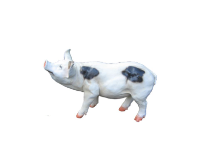 Decoration garden figure statue figures statues decoration new sculptures pig 40cm