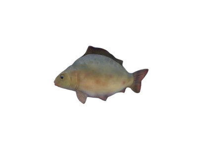 Decorative r modern beautiful sculpture fish, figure height 60 cm.