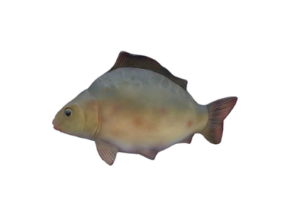 Decorative r modern beautiful sculpture fish, figure height 60 cm.