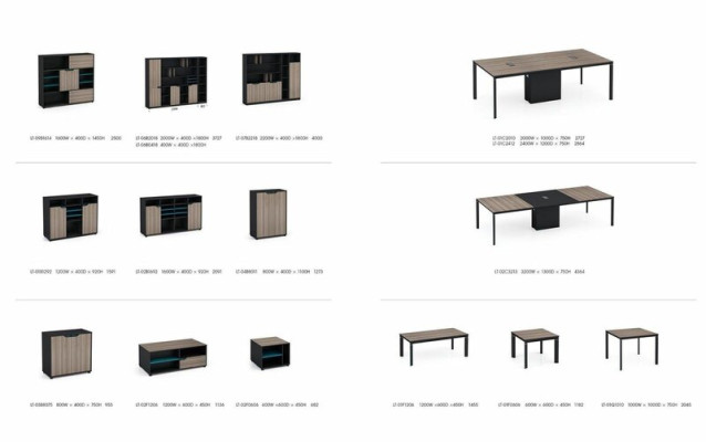 Filing cabinet Bookshelf Shelves Wardrobe Luxury Office Decorative Furniture Cabinets
