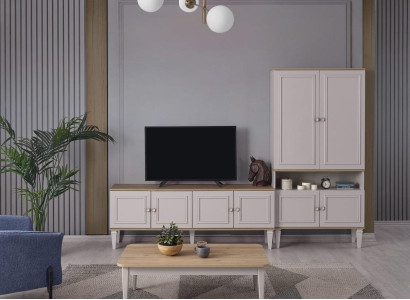 Suite TV Stand Wardrobe TV-cabinet Lowboard Living room Shelves Gray Wood