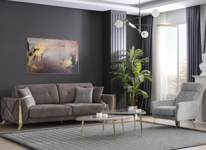 Brown-Gray Living room Suite Dreistzer Luxury Armchair Coffee table 4-piece
