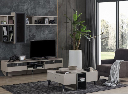 Living room set designer TV cabinet stand luxury wood shelves coffee table 3 pieces
