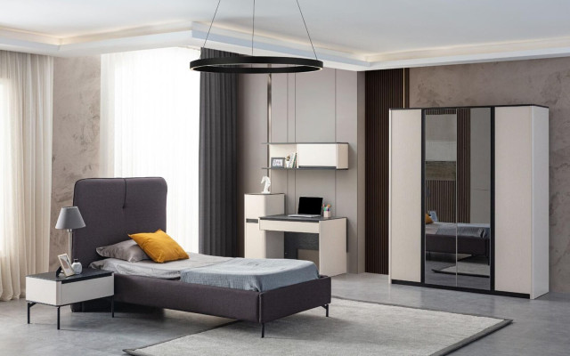Gray bedroom cabinet designer mirror cabinet Wood Wardrobe