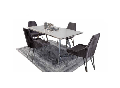 Complete Set Dining table 4x Chairs Dining room Set Ess Group Metal Table new