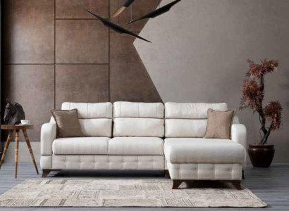 Luxurious Living room sofa Sofa L-shape Modern Comfortable in Bleach new
