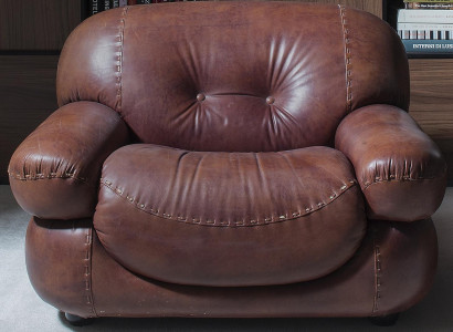 Vintage Leather Armchair Living room Genuine leather Upholstery TV Italian Furniture new