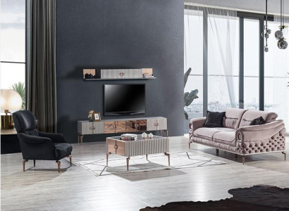 Noble Living room Suite Luxury Upholstery Sofa Designer Armchair TV Lowboard