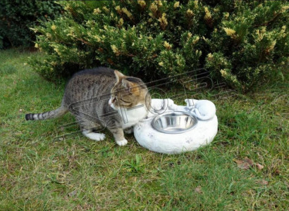 Water drinking fountain cat drinking container customer drinking vessel