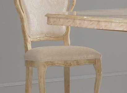 Luxury 1x Chair Dining room chair Kitchen chairs Living room chair Upholstered chair Chairs