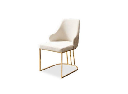 Chair Luxury Dining room chair Designer Furniture Furnishings stainless steel