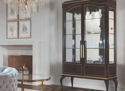 Luxury Display case Cabinets Brown Showcases Wardrobe Living room Wood Glass