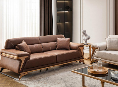 Stylish 3-Seater Sofa exclusive brown color luxury furniture in living room