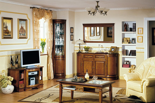Classic Display case showcase cabinet rustic wardrobe glass cabinet showcases Z-WN