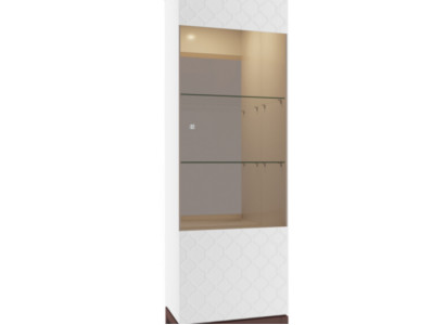 Modern design display case glass cabinet showcases wardrobe showcase shelf