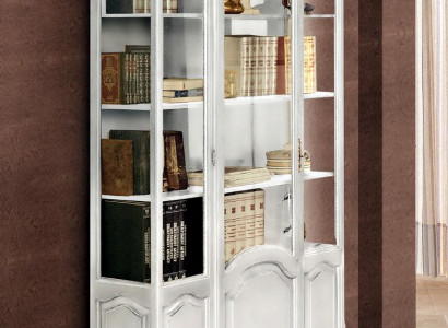 Books Wardrobe Shelf Cabinets Sideboard Office Furniture Furnishings Display case Wood new