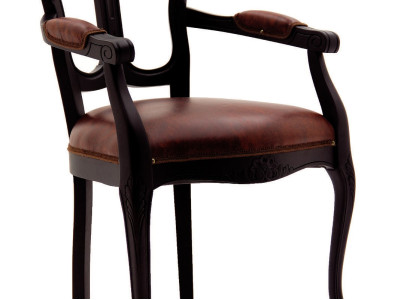 Designer Chair Furniture Upholstered Chair Living room chair Dining room chair Office chair new