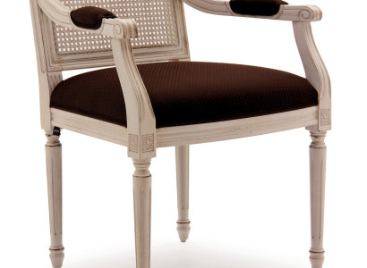 Dining room Chairs Design Textile Luxury Beige new Dining room chair Chair with armrest