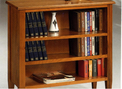 Bookcase Display case Collector's Cabinet Shelf Solid Wood Furniture Shelves Cabinets new