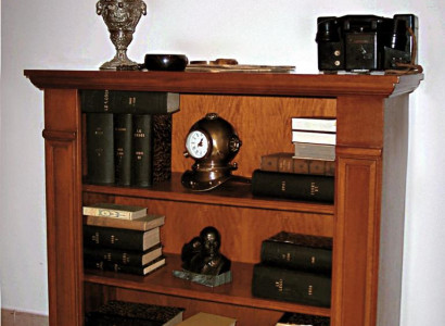 Bookshelf Display case Classic Wardrobe Bookcase Wood new