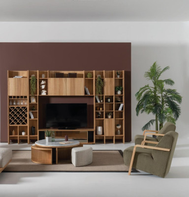 Living room furniture Set Designer Armchair 2x Wall unit Coffee table