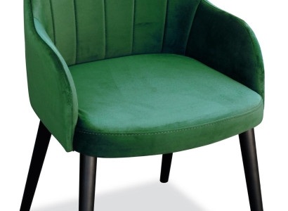 Solid wood Chair Dining room chair Designer Textile Chair Chairs Dining chairs K80