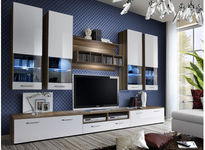 Wall unit Suite TV Stand Lowboard Designer Wall Cabinet Wood Luxury Furniture