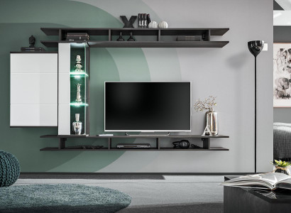 Modern Wall unit Gray Designer Living room Furniture Wood wall cabinet