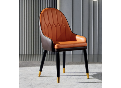 Brown-Orange Dining chairs Designer wooden chairs Modern armchair