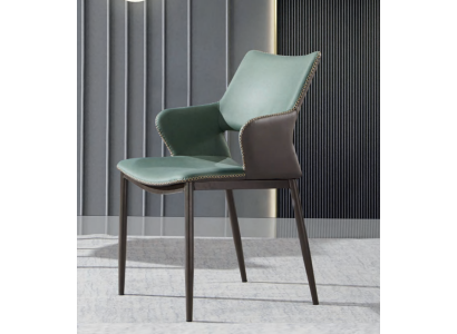 Brown-green Wood Dining chairs Designer wooden chair Modern armchairs
