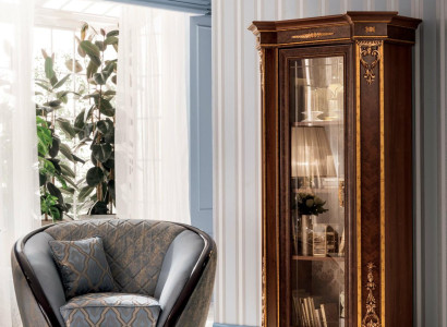 Display case Glass Cabinet Wardrobe Wall Books Showcases Wood Rustic Baroque