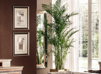 Classic r Wall mirror Wooden Frame Mirror Furniture Baroque Rococo Glass Frame Wall
