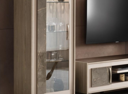 Display case Glass cabinet Shelf Bookcase Wall unit Wardrobe Furniture Shelves Living room