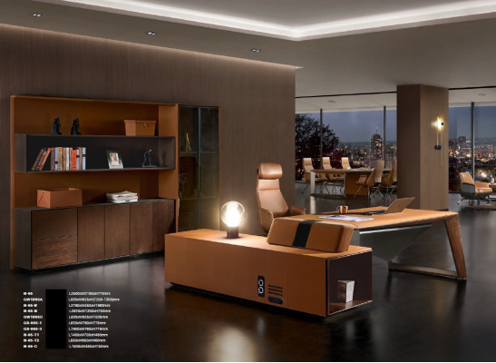 Books Files Wardrobe Shelf Wall Law Firm Practice Companies Office Furniture