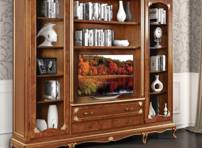 TV Wardrobe extension wall Wall unit tv wall unit Solid wood Modern Real wood new
