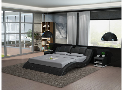 Waterbed Double Bed Beds Complete Leather Bed Upholstered bed Water LB8824B