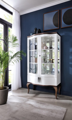 Classic Display case Wardrobe Living room Display cabinet Showcases Shelf Cabinets