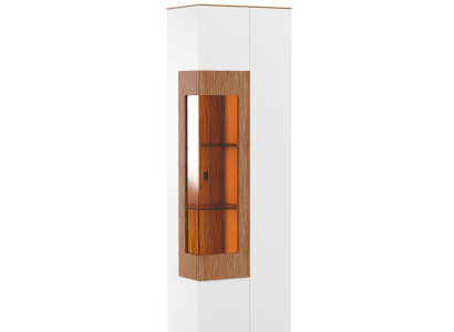 Display case Glass Wardrobe Living room showcase 1 trg. Showcase tall cabinet modern