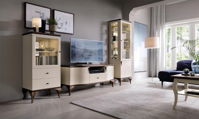 Design Display case Glass Wardrobe Living room Shop Window Showcases Shelf Sideboard Wood