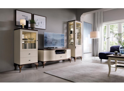 Design Display case Glass Wardrobe Living room Shop Window Showcases Shelf Sideboard Wood