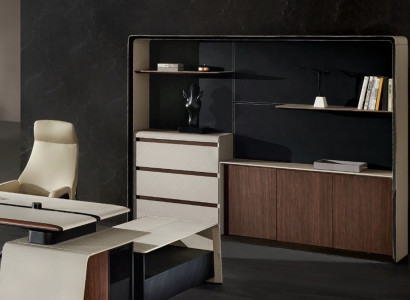 Filing cabinet Bookshelf Shelves Decorative Wardrobe Luxury Office Furniture Cabinets