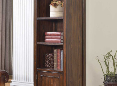 Shelf Bookshelf File shelf Wardrobe Office Wall shelf Standing shelf shelves