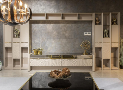 Wall unit Designer Living room furniture Wall cabinet Wall Shelf Living walls