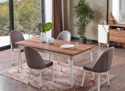 Dining room Set 6x Chairs +Dining table Set Dining room Designer Wood Chair Suite new