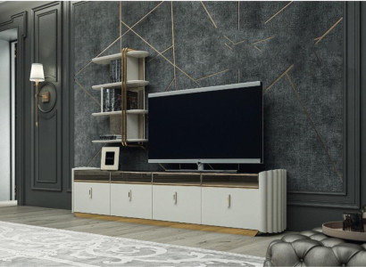 Wall unit Design Wall shelf TV lowboard wall cabinet Living room Wood Furnishings