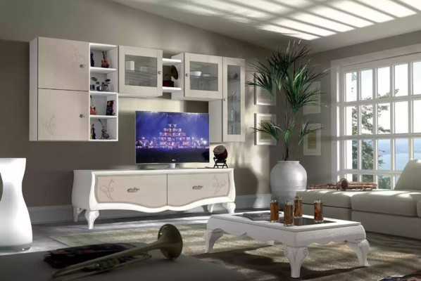 Wall unit Living room Luxury Set Display case Lowboard Wall shelf TV 5 pcs. new