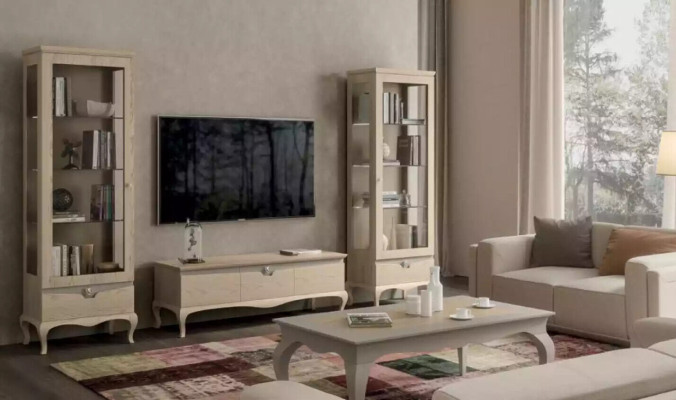 Living room TV cabinet Display case Wall unit Cabinets Design Art déco showcase set